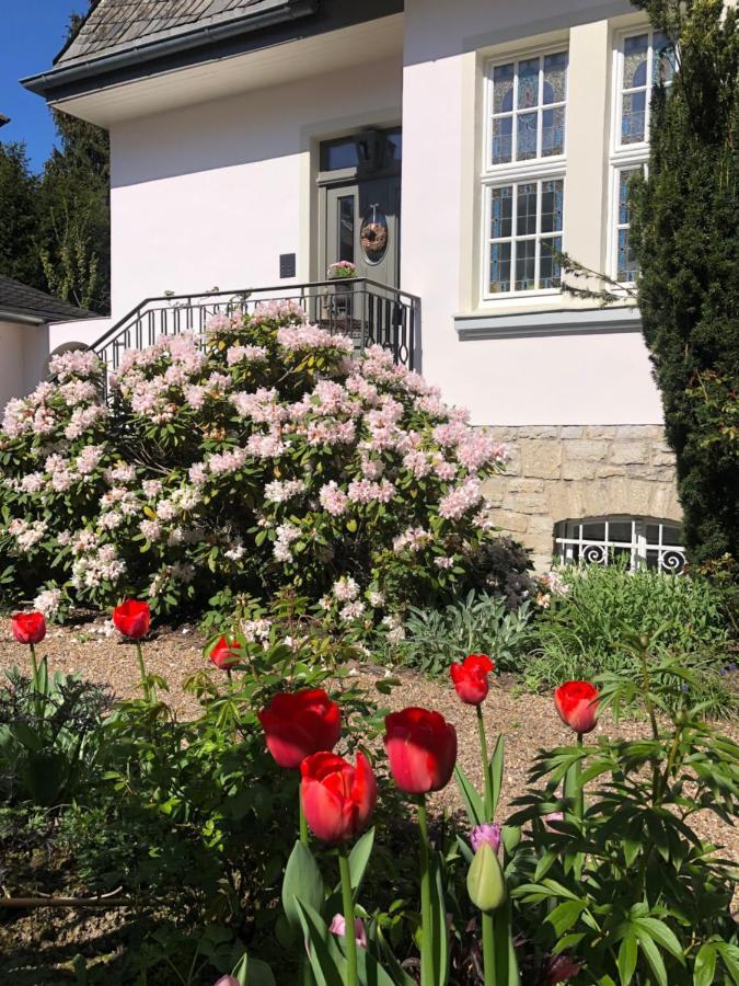 Villa Rosa - Sky Detmold Buitenkant foto
